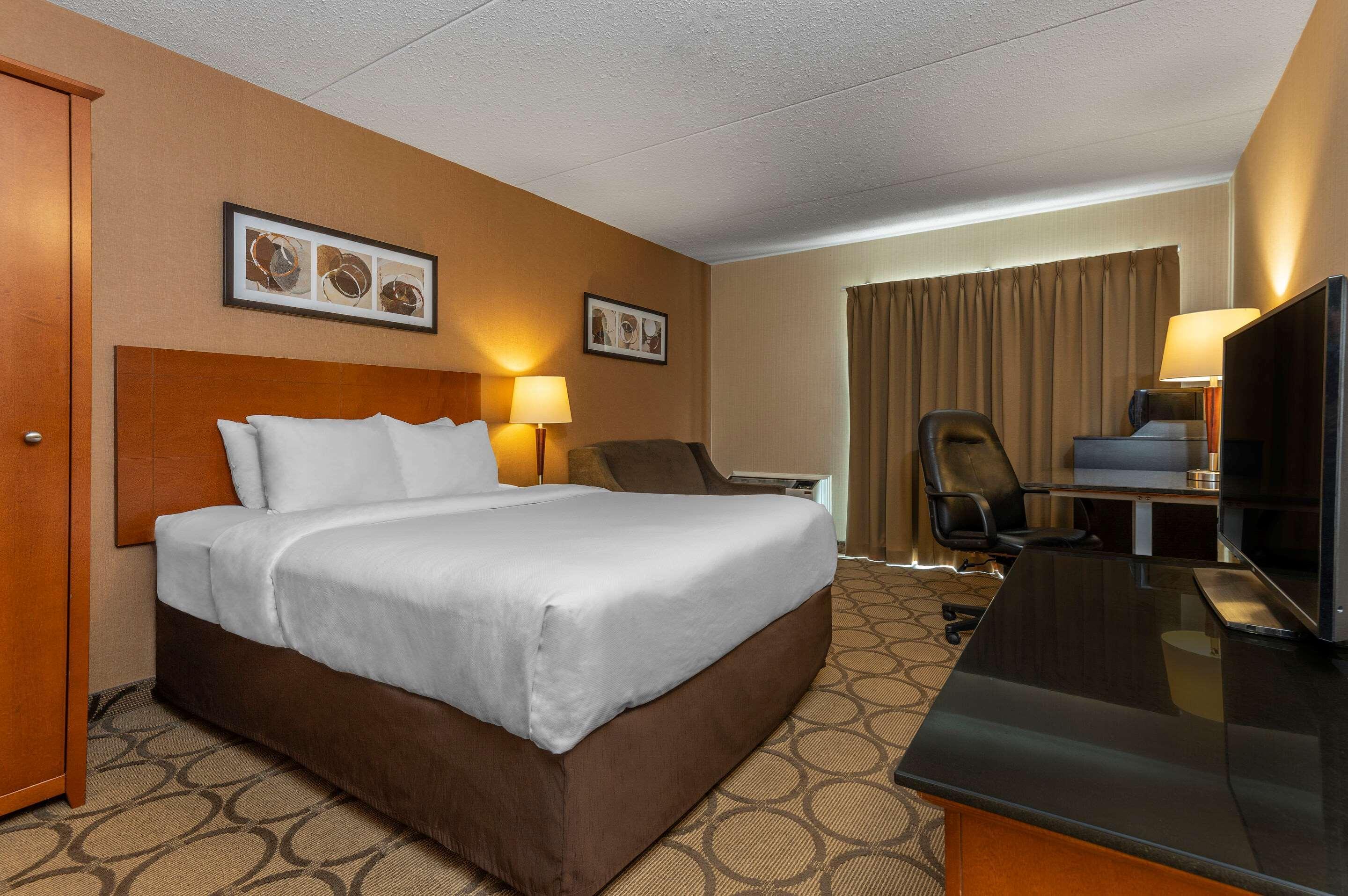 Comfort 3* Alma