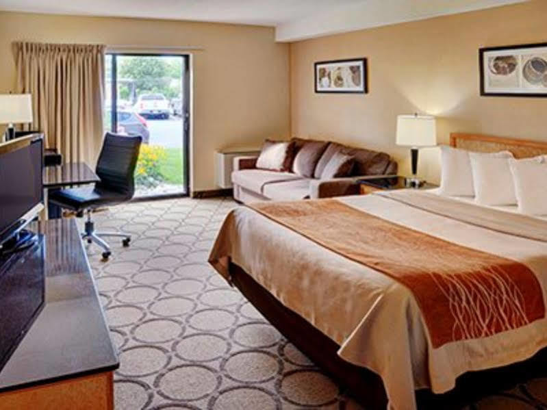 Comfort 3* Alma
