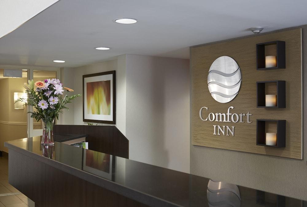 Comfort 3* Alma